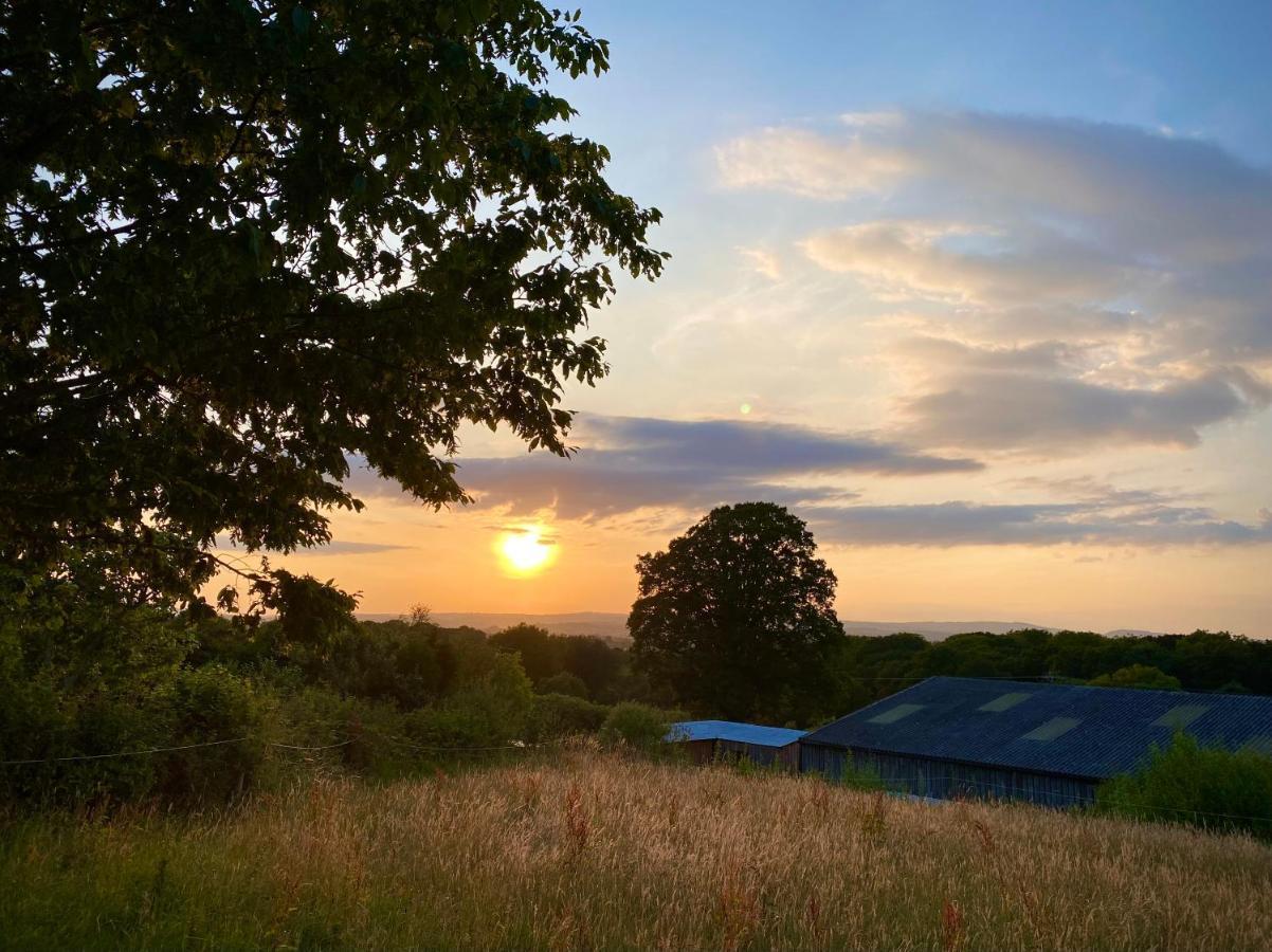 Cherry Tree Glamping Lodge Wellington (Somerset) Exterior foto